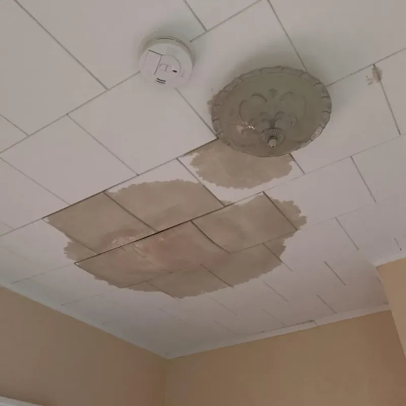 Ceiling Water Damage Repair in Navasota, TX