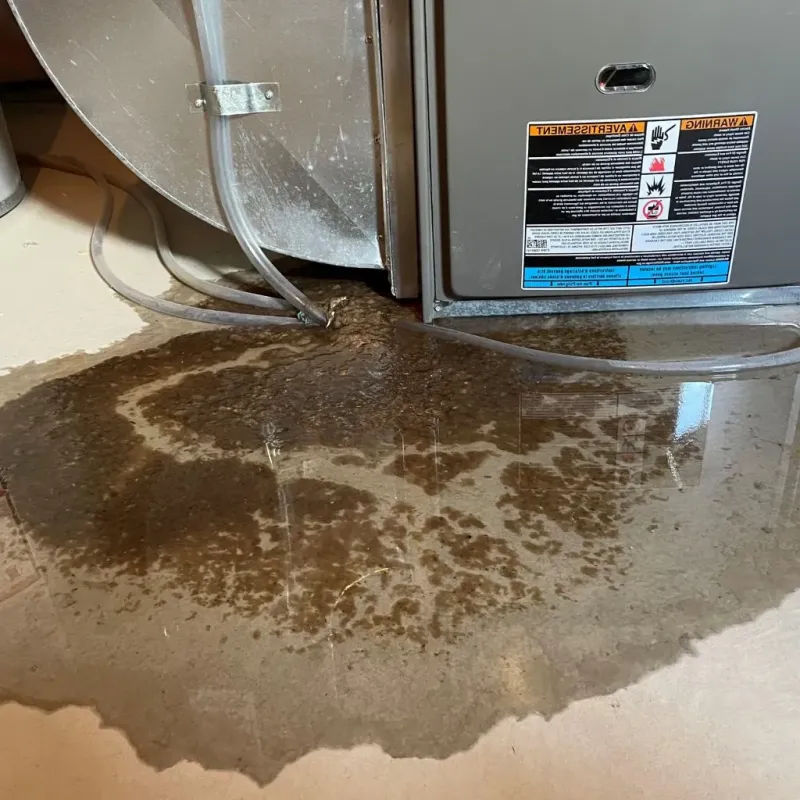Pipe Burst and Leak Restoration in Navasota, TX