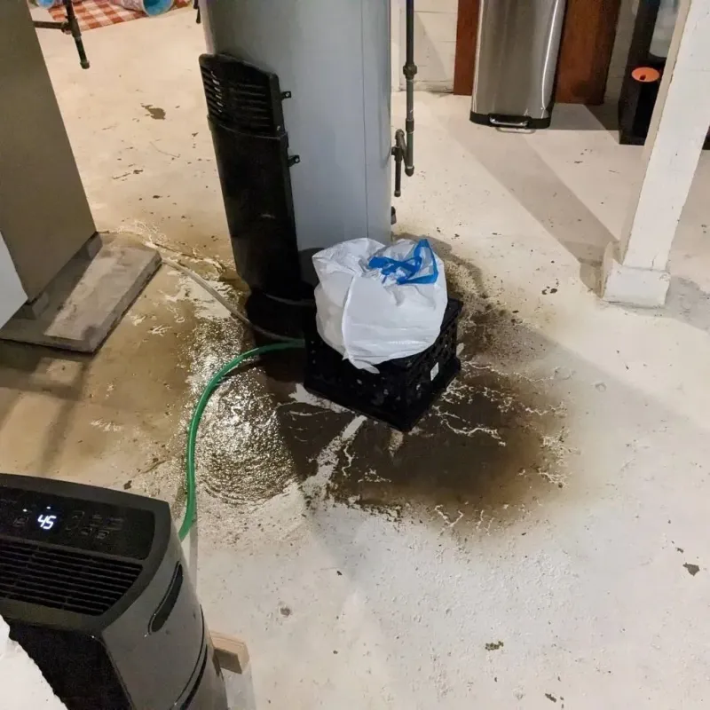 Sewage Backup Cleanup Service in Navasota, TX